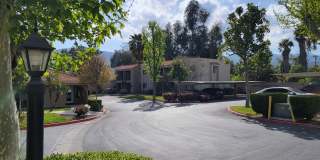 Sierra Vista Gallery 19