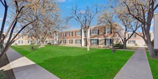 Golden Crest Gallery 18