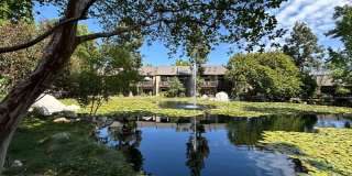 Live at The Lakes! Gallery 15