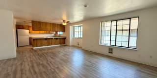 Olive Trees Apartments Gallery 1