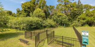 Cypress Grove Gallery 44