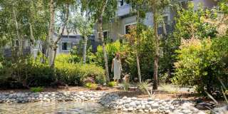 Shadowbrook Apartments Gallery 13