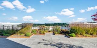 The Artiste Apartment Homes Gallery 8