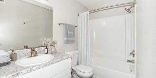 Palms at South Mountain Gallery 10