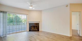 Windsor on White Rock Lake Gallery 13
