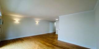 vet182 Gallery 5