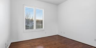 25301 Prado De Los Arboles Gallery 33