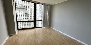 2650 N Lakeview Ave, Unit 1304, Chicago, IL 60614 Gallery 2