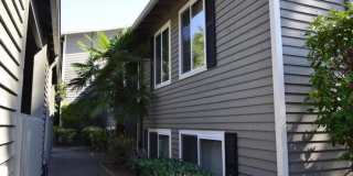 Meydenbauer Park Apartments Gallery 13