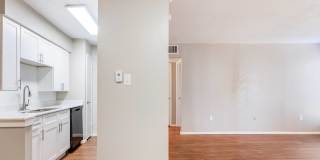 Helios Gallery 26
