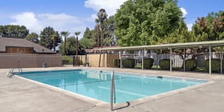 Park West Gallery 32