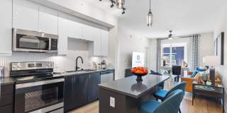 Tortoise One Gallery 16