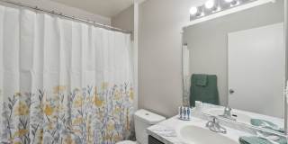 Grove at Alban Gallery 24