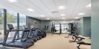 Nevéseno Gallery 18