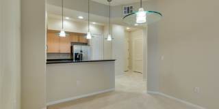 50 SERENE Avenue Gallery 6