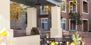 The Verdant The Verdant Gallery 9