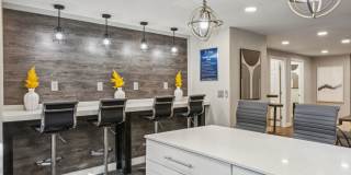 The Ashley Gallery 29