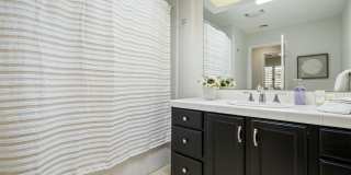 38 Mission Court Gallery 56