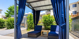 Olympus Alameda Gallery 40