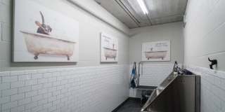 Arris Lakeville Gallery 46