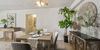 Cavalier Club Gallery 4