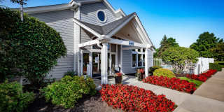 Eagle Chase Gallery 11