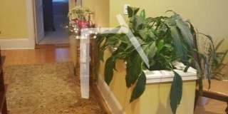 Charming 4 Bedroom Gallery 1