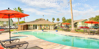 The Palm on SPID Gallery 2