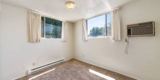 Dolphin Apartments Gallery 9