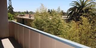 564 Oakland Avenue Gallery 1