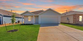 332 Elephants Ear Gallery 1