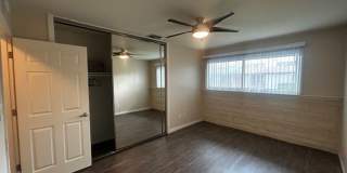 The Pines Apartments Gallery 25