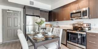 Remi West Dallas Remi West Dallas Gallery 2