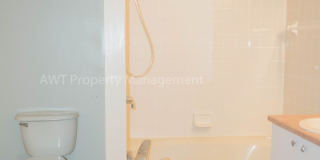 14 Wood Amber Lane Gallery 19