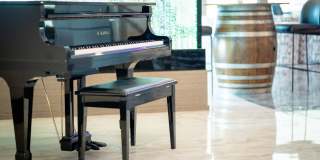 The Vivien Gallery 67