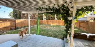 Move in Ready 3bed/3bath, beautiful backyard Gallery 26