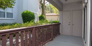 Skyview Gallery 41