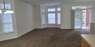 The Regency Club Gallery 25