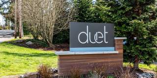 Duet Gallery 10