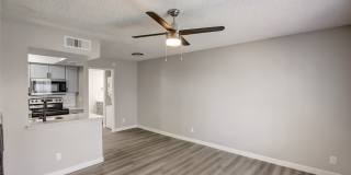 Rise on Cactus Gallery 12