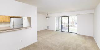 Calvert's Walk Gallery 23