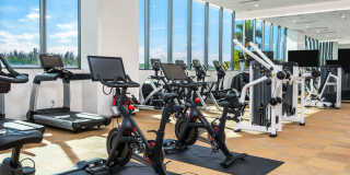 SoLe Mia Rentals Gallery 21