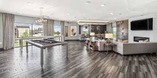 Terra at University North Park Gallery 40