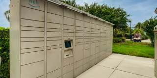 Abaco Key Gallery 10