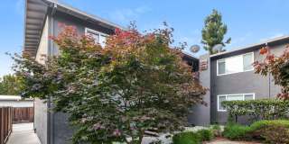 Updated Sunnyvale One-Bedroom – 1260 Cortez #11 Gallery 15