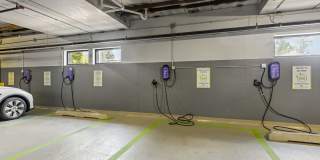 Maple and Main Gallery 20