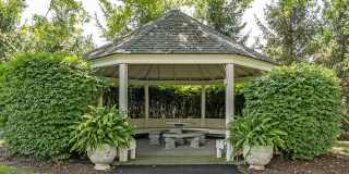 Canter Chase Gallery 30