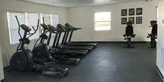 Steeplechase Village Gallery 4