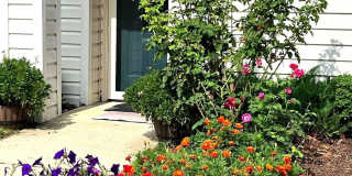 50-B SANDSTONE Court 50-B SANDSTONE Court Gallery 14