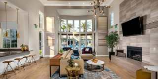 The Heights Gallery 20